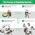 Cockroach Killer Gel - Digit Lounge